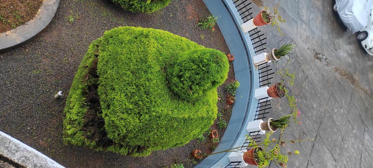 Pepper Valley Resort カルペッタ エクステリア 写真